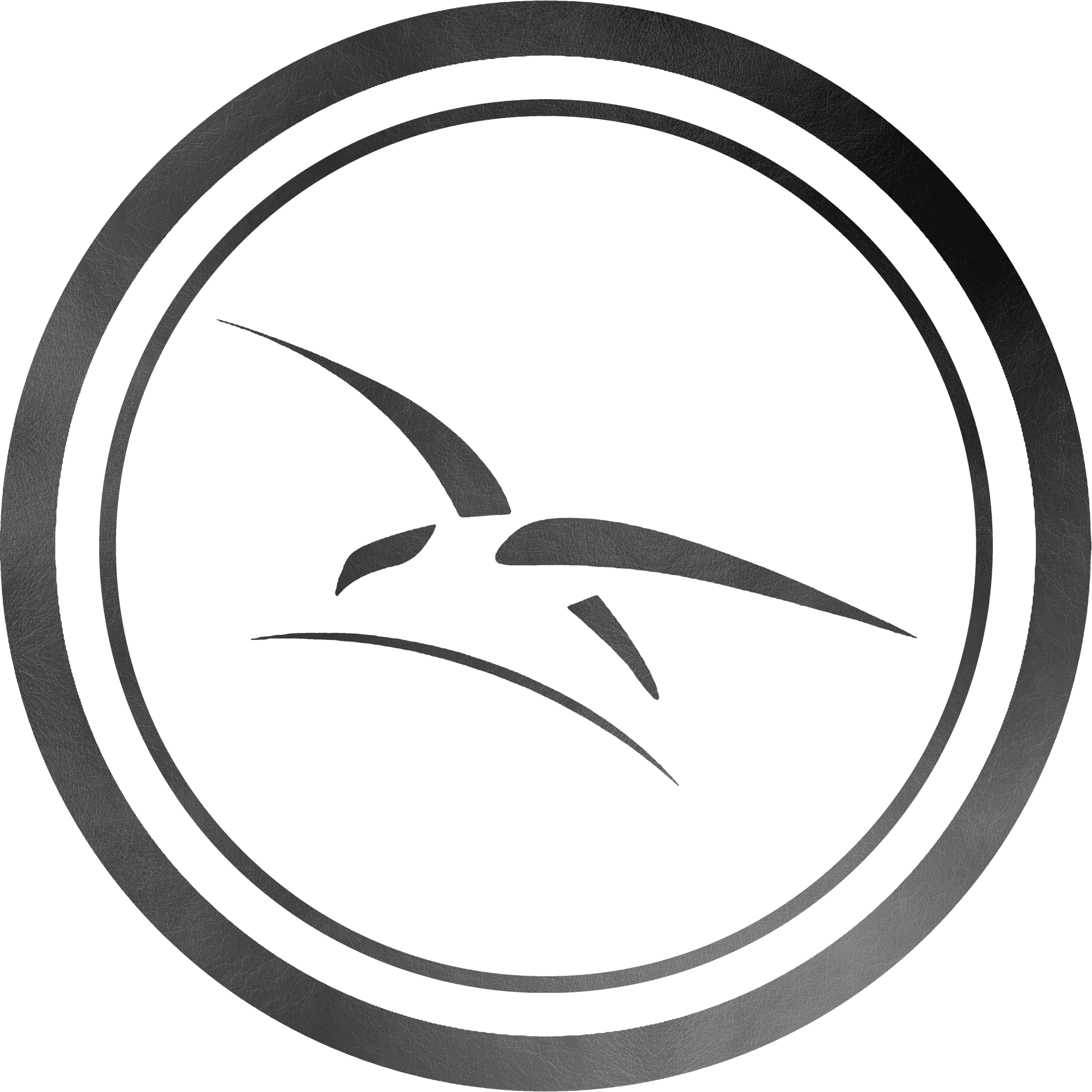 Armée de l'Air et de l'Espace